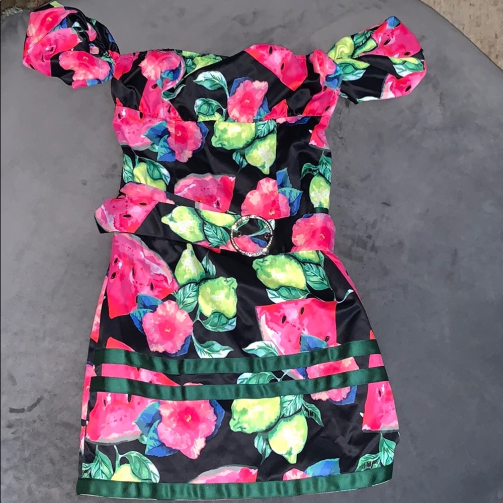 Fashion Nova dress, cute for a costume idea !
